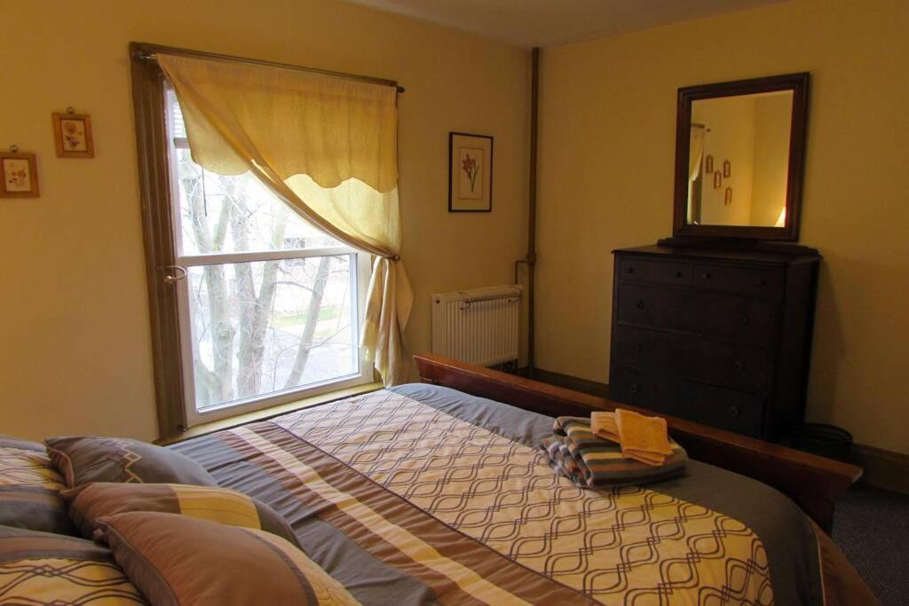 Great Gorge Guesthouse - Walk To The Falls, The Casino And All Downtown Restaurants - Across From The Aquarium 나이아가라폴스 외부 사진